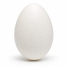 Empty Blown Hollow Goose Eggshell for Pysanky Easter Egg Decorating 3.5 In