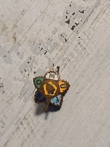 Vintage FECMU Royal Neighbors of America F.E.C.M.U Pin See Pictures O9 - Picture 1 of 4