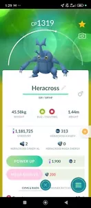 Pokemon Heracross Regional Trade - Picture 1 of 1