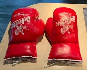 Hasseröder Boxhandschuhe 10 OZ wie neu Rarität - Bild 1 von 3