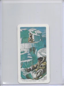 1973 Snow House National Wildlife Federation The Arctic Card #6 Series 16 - Picture 1 of 2