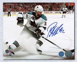 Patrick Marleau Autographed San Jose Sharks Snowstorm 8x10 Photo - Picture 1 of 1