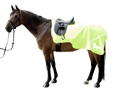 Warn - Nierendecke winddicht reflektierend  Universalgröße Pony bis WB  Nagelneu - Bild 1 von 2