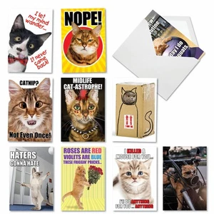 - 10 Funny Birthday Cards Boxed - Assorted Humor Photos, Cartoons, Bulk Bday ... - Picture 1 of 7
