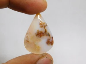 Piedra preciosa suelta cabujón de musgo dendrita natural AAA+ 18 quilates. ME-1908 - Imagen 1 de 5