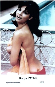 EINE SAMMLUNG POSTKARTEN & BILDER VON RAQUEL WELCH - Bild 1 von 9