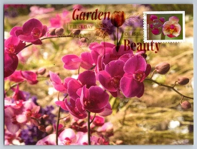 Maxi tarjeta #5661 Garden Beauty rosa polilla orquídea FDC con cancelación de imagen Foto 1 de 2