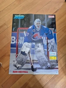 RON HEXTALL POSTER COLOR 20 BY 15 QUEBEC NORDIQUES OR LES B.B. - Picture 1 of 2