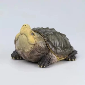ANIMAL HEAVENLY BODY Laugh&Grow Fat Turtle XXII Macrochelys Temminckii Resina - Foto 1 di 1