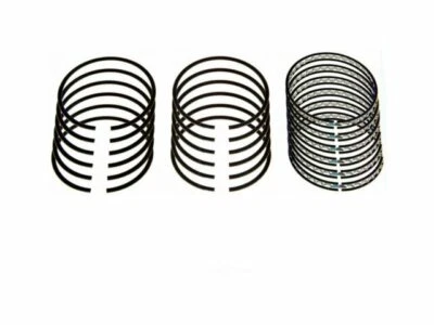 Anillo de pistón Hastings 89219WF 1996 1997 para Ford B800F 1995-1998 Foto 1 de 2