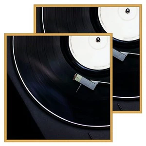 Aluminum Album Frames Display 12.5x12.5 Vinyl Record Brushed Metal Finish Record - Picture 1 of 7