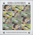 Sierra Leone S/S WWF White-Necked Picathartes New Value O/P 2008 MNH-240 Euro