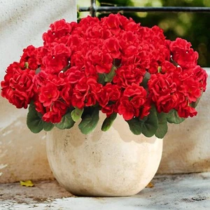 Realistic Artificial Geranium Flowers, UV Protected, Waterproof, 6 Bundles - Picture 1 of 7
