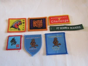 7 ASSORTED PATCH BADGES CAMBRIDGESHIRE BEAVERS 1997-2000. - Foto 1 di 1