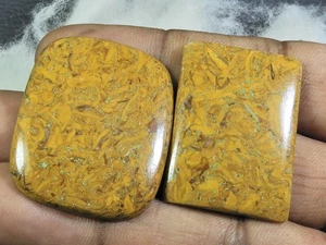 86Cts. Jaspe Marium Natural 2Pcs Mezcla Cabujón Gema Suelta 25X34-30X36MM - Imagen 1 de 7