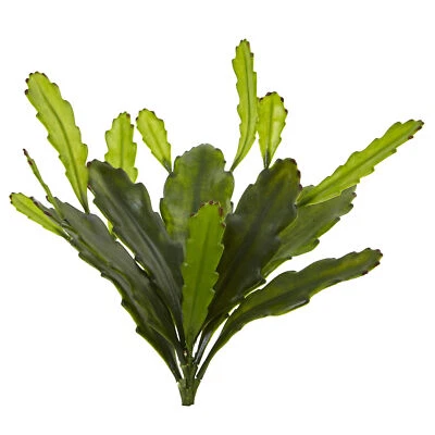 Conjunto de 4 plantas de seda artificial Epiphyllum cacto quase natural 14 pol. decoração para casa - Imagem 1 de 3