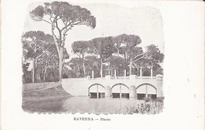 Ravenna, ITALY - Pinewoods - Picture 1 of 2