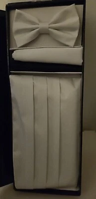 Nuevo conjunto de pañuelos de pajarita de poliéster Q marca boda/promoción blanco Foto 1 de 3