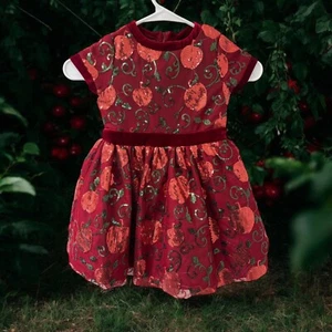Disney Princess Snow White Red Apple Sequined Party Costume Dress SIZE 3 Holiday - Picture 1 of 6