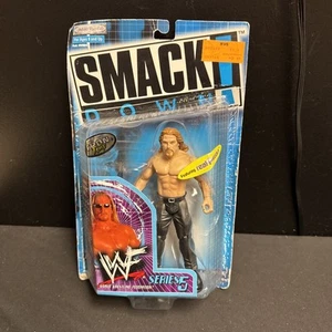 2000 WWF WWE Jakks Pacific Smackdown Test Wrestling figure Series 5 - Picture 1 of 16