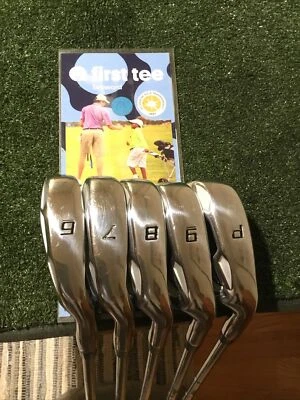 RAM Ladies SDX Irons Set 6-PW Synchronized Steel Shafts - Image 1 of 4