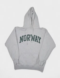 Brandy Melville Hoodie Grey Heavyweight Cotton Pullover Sweatshirt Norway M - Picture 1 of 8