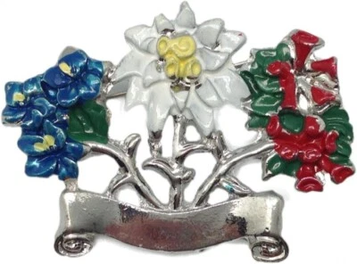 #28.¡NUEVO! Pin sombrero ALPINO. Edelweiss, flores alpinas, pancarta en blanco, Oktoberfest Foto 1 de 4