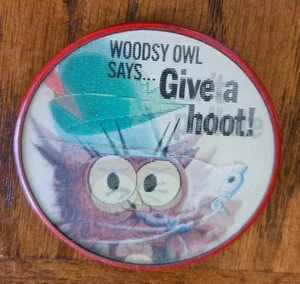 Pin parpadeante vintage WOODSY OWL botón Give A Hoot Don’t Pollute Vari-Vue 2 1/2 - Imagen 1 de 3