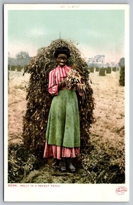 Vintage Postcard Polly in a Peanut Patch *A1198 - Picture 1 of 2