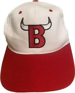 Vintage Chicago Bulls  NBA Basketball Snapback Hat Cap SGA Miller Lite - Picture 1 of 20