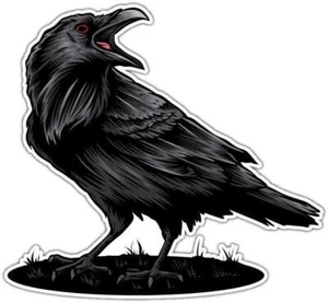 Crow Raven Black Bird Car Bumper Window Sticker Decal 4.6" - Picture 1 of 1