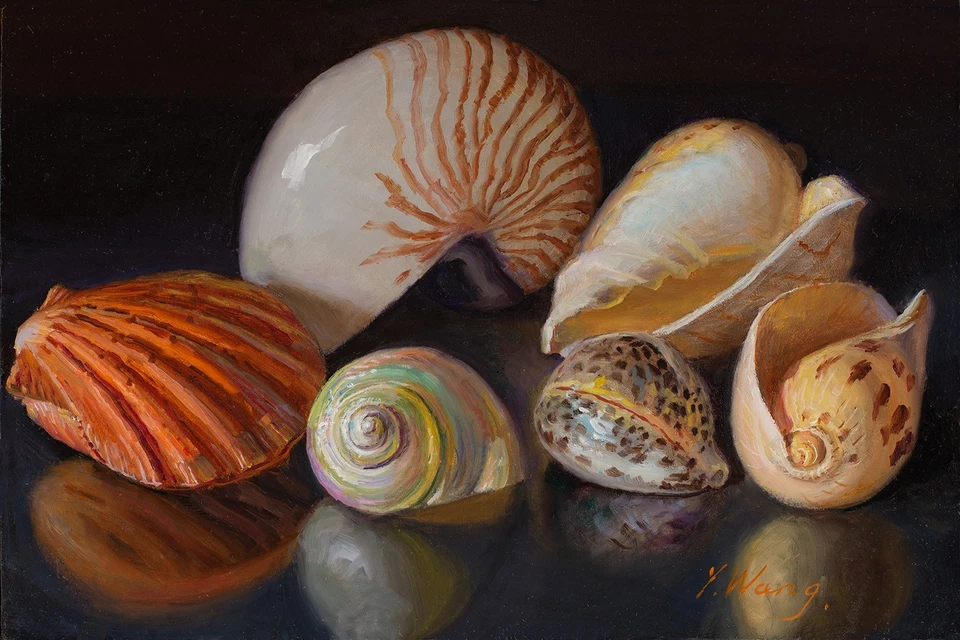 Pintura al óleo original bodegón realismo conchas marinas 12x8" Youqing Wang Bellas Artes Foto 1 de 1