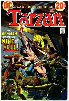 Tarzan (1972) #215 VF 8.0 - Image 1 of 2