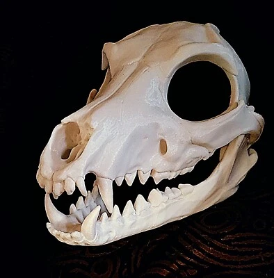 Fox Skully V4 Advanced Wearable Skull Mask Costume Skulldog Fursuit Head Base - Image 1 of 4