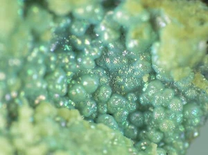 SASAITE from Austria * VERY RARE PHOSPHATE MINERAL * 3,6 cm - Picture 1 of 7