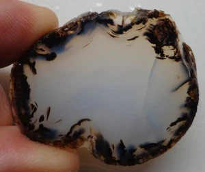 WRG- Montana Agate Slab 16 grams Lapidary Old Stock - Picture 1 of 5