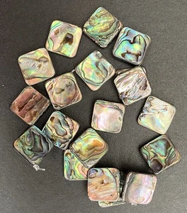 Genuine Abalone Semi-Precious Shell Beads, Jewellery Maker - Picture 1 of 7
