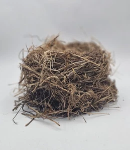 "Nido de pájaro real de 5 1/2"" ~ nido abandonado de barro ramita" - Imagen 1 de 16
