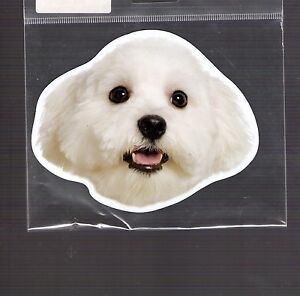 Maltese 4 inch face magnet for car or anything metal New