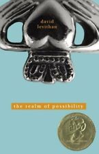 The Realm of Possibility by David Levithan: New