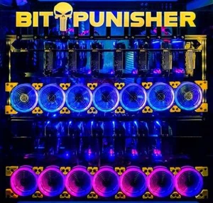 Crypto Mining Consultation GPU ASIC RTX 5090 BTC Bitcoin Alt Coins BITPUNISHER - Picture 1 of 11