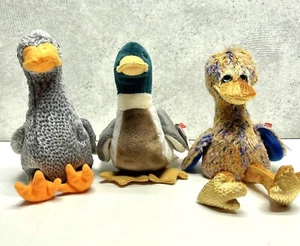Ty Beanie Baby JAKE The Mallard Duck RARE Tag Error 1997-1998 Bonus Honks Dinky - Bild 1 von 9