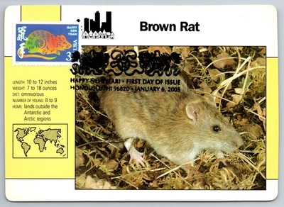 3895a Chinese Lunar New Year Rat FDC Maxi Card - Image 1 of 2