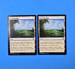 2x Vivid Meadow Commander 2017 C17 Mtg Magic Gathering Land Mana Karte 293 - Bild 1 von 2