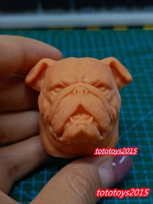 1:6 1:12 1:18 Bulldog Británico Mascota Perro Animal Cabeza Esculpida Para 12" Figura Masculina Juguete Foto 1 de 4