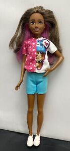 2010 2016 Barbie Teen Skipper African American Doll Outfit Pink Streak Hair