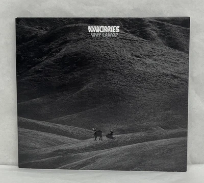 NxWorries - Why Lawd? CD - Anderson.Paak & Knxwledge Foto 1 de 4