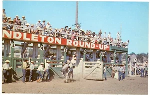 Vintage Postcard GRANDSTANDS Pendleton, Oregon Roundup - Bild 1 von 2