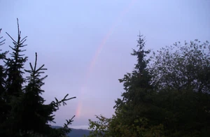 JasSan 732 - Picture 1 of 1