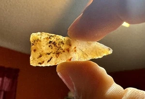 Authentic Arrowhead Fine Quality S. Texas Guerrero Point G-9 Beauty! Agate Gem ! - Picture 1 of 8